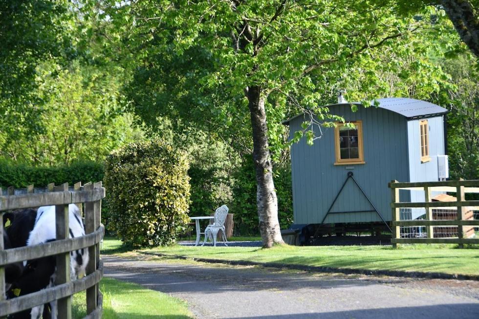 The Shepherds Hut Carmarthen Bagian luar foto